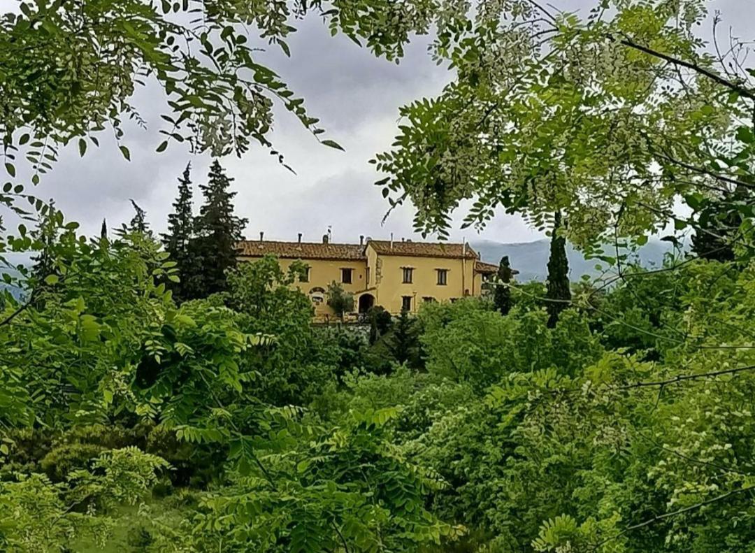 San Martino Country Villa B&B Barberino di Mugello Exterior foto