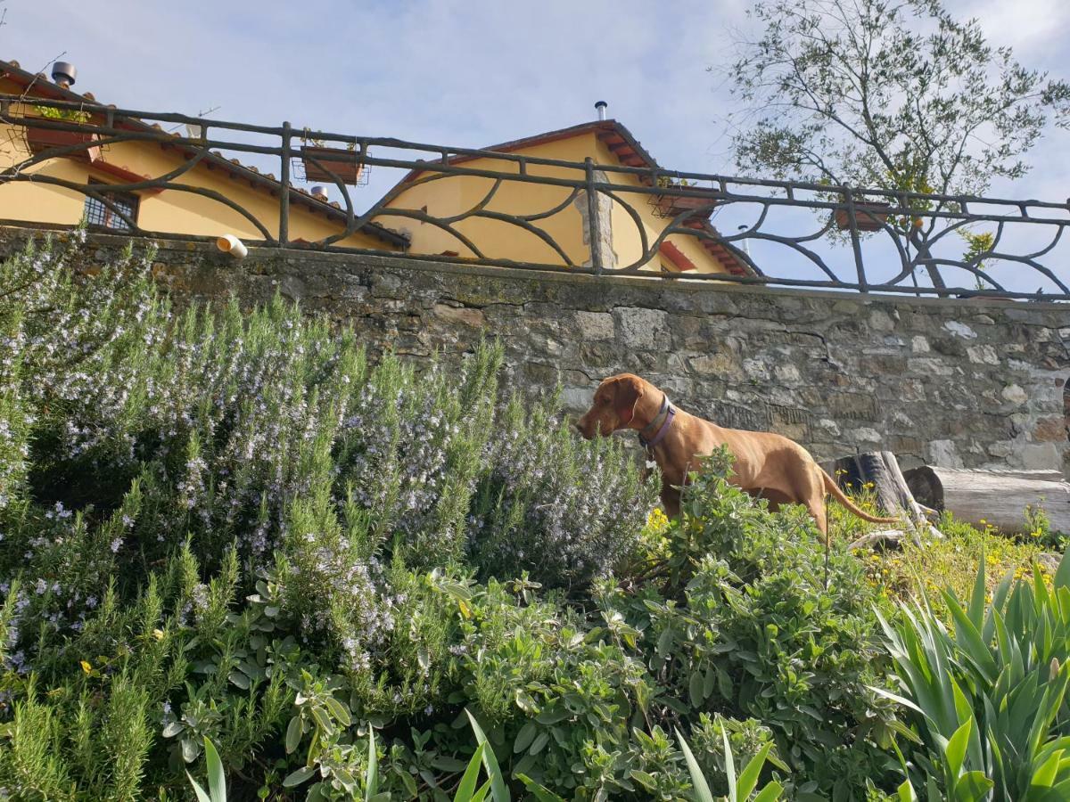 San Martino Country Villa B&B Barberino di Mugello Exterior foto